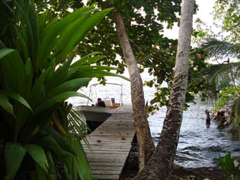 Vue du terrain de 2.5 has de Bocas del Toro, Panama